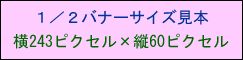 �P�^�Q�o�i�[�T�C�Y���{�i��243�s�N�Z���~�c60�s�N�Z���j